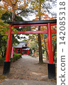Shimizu Shrine 142085318