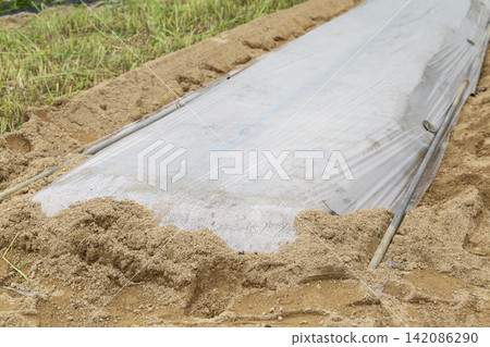 田地太陽能消毒 田地太陽能消毒 142086290