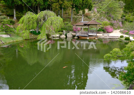 三溪園景色 三溪園景色 142086610