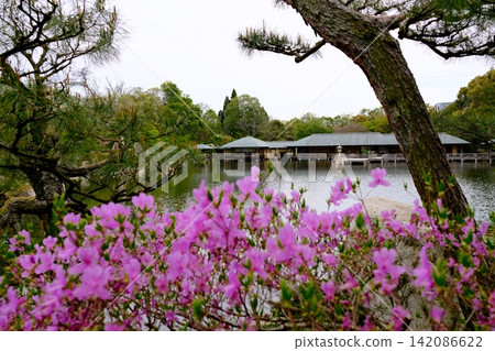 View of Sankeien Garden View of Sankeien Garden 142086622