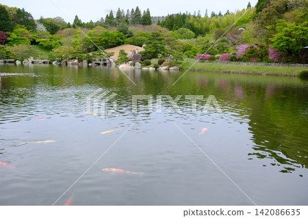 View of Sankeien Garden View of Sankeien Garden 142086635