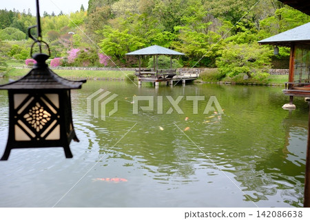 三溪園景色 三溪園景色 142086638