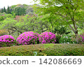 View of Sankeien Garden 142086669