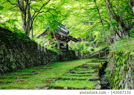 [滋賀縣東近江市] 百齋寺：苔蘚覆蓋的大門和新鮮的綠植，景色令人驚嘆。 142087130