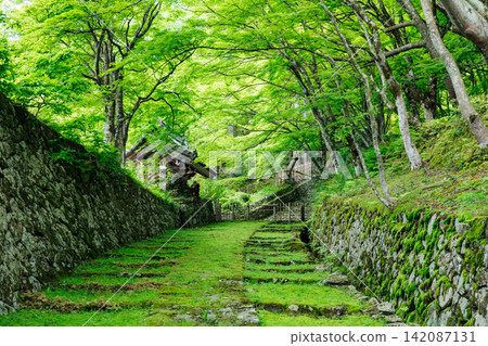 [滋賀縣東近江市] 百齋寺：苔蘚覆蓋的大門和新鮮的綠植，景色令人驚嘆。 142087131
