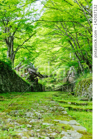 [滋賀縣東近江市] 百齋寺：苔蘚覆蓋的大門和新鮮的綠植，景色令人驚嘆。 142087132