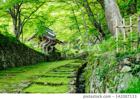 [滋賀縣東近江市] 百齋寺：苔蘚覆蓋的大門和新鮮的綠植，景色令人驚嘆。 142087133