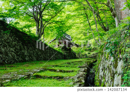 [滋賀縣東近江市] 百齋寺：苔蘚覆蓋的大門和新鮮的綠植，景色令人驚嘆。 142087134