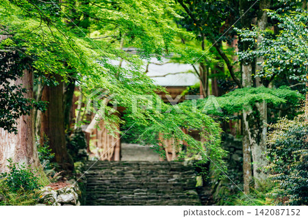 [Higashiomi City, Shiga Prefecture] The approach to the Niomon Gate of Hyakusaiji Temple 142087152