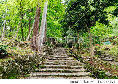 [Higashiomi City, Shiga Prefecture] The approach to the Niomon Gate of Hyakusaiji Temple 142087154