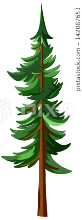 Stylized Green Conifer Tree Vector Illustration Isolated on White Background 142087651