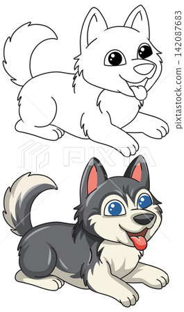 Cute Cartoon Siberian Husky Puppy Coloring Page and Vector Illustration Cute Cartoon Siberian Husky Puppy Coloring Page and Vector Illustration 142087683