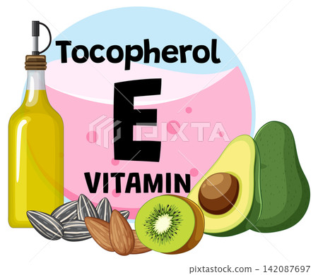 Vitamin E Rich Foods with Tocopherol Sources Illustration 142087697