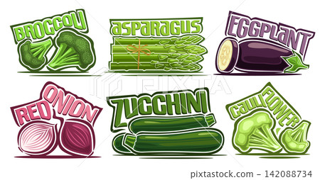 Vector Vegetable Set Vector Vegetable Set 142088734