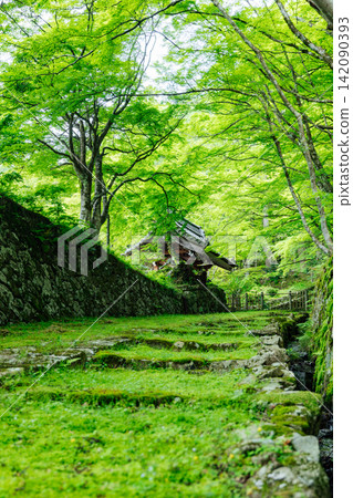 [滋賀縣東近江市] 百齋寺：苔蘚覆蓋的大門和新鮮的綠植，景色令人驚嘆。 142090393