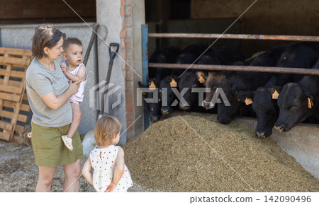 Woman with children near yard with calves Woman with children near yard with calves 142090496