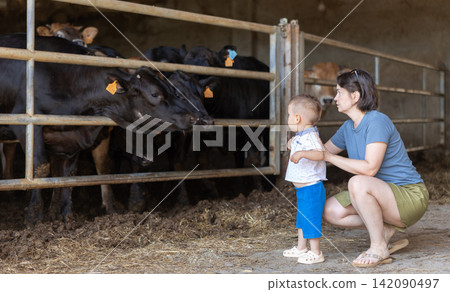 Positive woman with small boy talking about caring for cows during visit to farm Positive woman with small boy talking about caring for cows during visit to farm 142090497