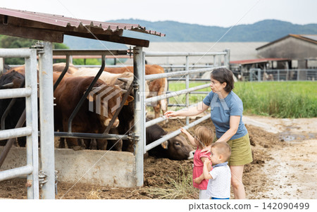 Woman with children near yard with calves Woman with children near yard with calves 142090499