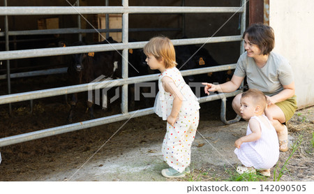 Mother with her little daughter and son meet cows on farm Mother with her little daughter and son meet cows on farm 142090505