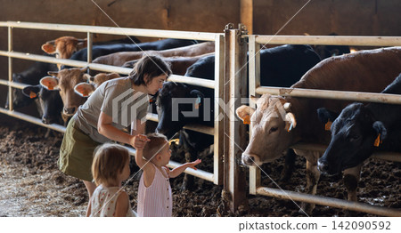 Woman with children near yard with calves Woman with children near yard with calves 142090592