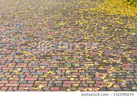 Autumn Solitude mood.Cobblestone street with colored fallen leaves Autumn Solitude mood.Cobblestone street with colored fallen leaves 142090834