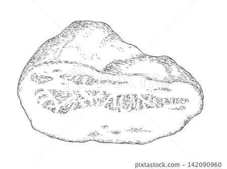 Hand-drawn illustration of guanciale 142090960