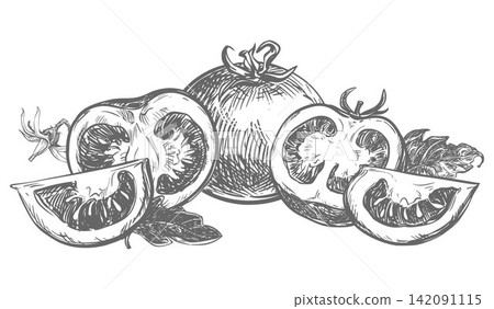 A composition of a pomidoro whole, half, slices lying on a table. Ink vector drawing imitating an engraving. Farm tomatoes in retro style. Botanical illustrationfor packaging juice and ketchup. A composition of a pomidoro whole, half, slices lying on a table. Ink vector drawing imitating an engraving. Farm tomatoes in retro style. Botanical illustrationfor packaging juice and ketchup. 142091115