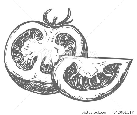 A composition depicting pomidoro halves and a slice lying on a table. A detailed vector ink drawing imitating an engraving. Farm tomatoes in a retro style. Botanical illustration of a ripe vegetable. A composition depicting pomidoro halves and a slice lying on a table. A detailed vector ink drawing imitating an engraving. Farm tomatoes in a retro style. Botanical illustration of a ripe vegetable. 142091117