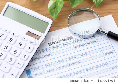 Pay slip, salary, and magnifying glass Pay slip, salary, and magnifying glass 142091701