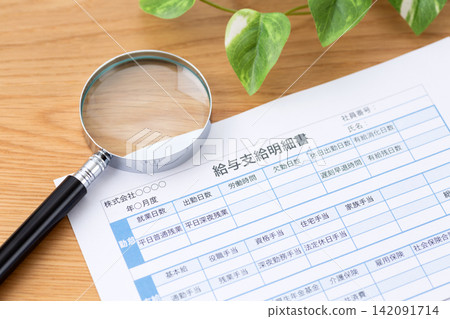 薪資單和放大鏡 薪資單和放大鏡 142091714