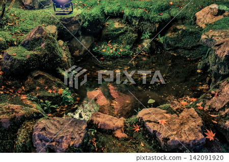 Tranquil moss garden pond decorated with fallen leaves Nov 26 2025 Tranquil moss garden pond decorated with fallen leaves Nov 26 2025 142091920