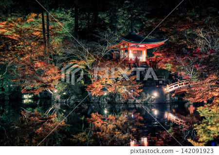 Illuminated Maples Reflecting on Benten Pond at Daigo ji Nov 26 2025 Illuminated Maples Reflecting on Benten Pond at Daigo ji Nov 26 2025 142091923