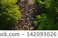 Aerial top-down view of a winding river flowing through a lush green forest. Scenic wilderness landscape with rocks and trees, perfect for nature, travel and environmental concepts. Aerial top-down view of a winding river flowing through a lush green forest. Scenic wilderness landscape with rocks and trees, perfect for nature, travel and environmental concepts. 142093026