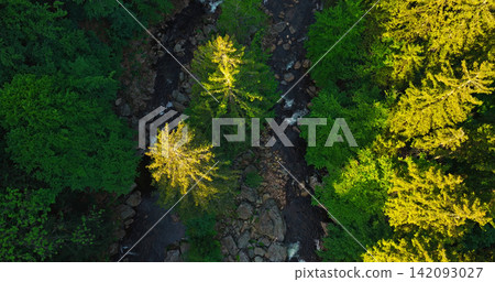 Aerial top-down view of a winding river flowing through a lush green forest. Scenic wilderness landscape with rocks and trees, perfect for nature, travel and environmental concepts. Aerial top-down view of a winding river flowing through a lush green forest. Scenic wilderness landscape with rocks and trees, perfect for nature, travel and environmental concepts. 142093027