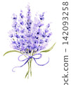 Watercolor lavender bouquet | Natural hand-drawn illustration with ribbon 142093258