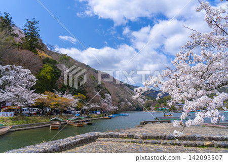 京都嵐山：船屋碼頭和櫻花 142093507