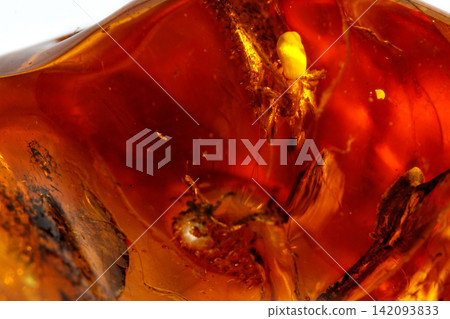 Macro Amber mineral stone with spider on white background 142093833