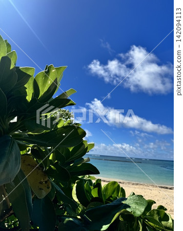 美麗的熱帶海灘和天藍色的天空 美麗的熱帶海灘和天藍色的天空 142094113