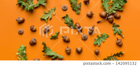 Branch with green oak tree leaves and acorns on colored background, close up top view Branch with green oak tree leaves and acorns on colored background, close up top view 142095132