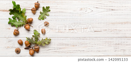 Branch with green oak tree leaves and acorns on colored background, close up top view Branch with green oak tree leaves and acorns on colored background, close up top view 142095133