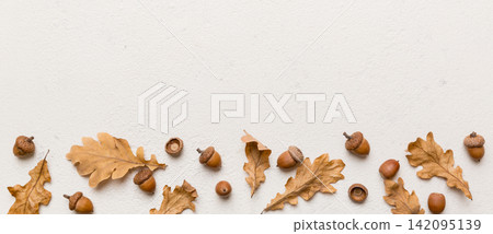 Branch with green oak tree leaves and acorns on colored background, close up top view 142095139