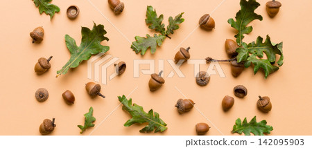 Branch with green oak tree leaves and acorns on colored background, close up top view Branch with green oak tree leaves and acorns on colored background, close up top view 142095903