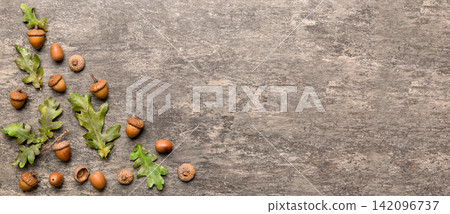 Branch with green oak tree leaves and acorns on colored background, close up top view Branch with green oak tree leaves and acorns on colored background, close up top view 142096737