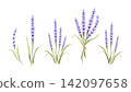 Watercolor Lavender Flower Material Set: Botanical Illustrations of Flowers, Single Flowers, and Bouquets 142097658