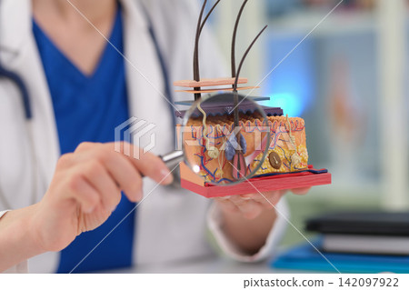 Woman doctor explains skin structure on model during clinic visit Woman doctor explains skin structure on model during clinic visit 142097922