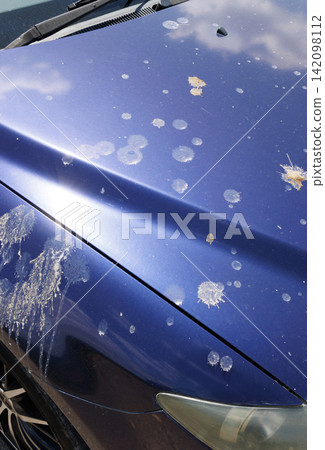 車上的鳥糞 車上的鳥糞 142098112