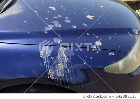 車上的鳥糞 車上的鳥糞 142098113