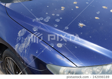 車上有鳥糞 車上有鳥糞 142098189