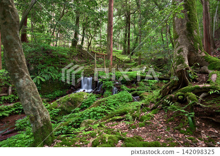 Uruwa Falls (Wakasa Town, Mikatakaminaka District, Fukui Prefecture) Uruwa Falls (Wakasa Town, Mikatakaminaka District, Fukui Prefecture) 142098325