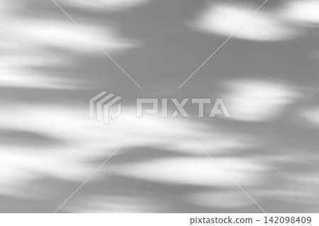 Abstract natural tree branch leaves shadow on white wall background Abstract natural tree branch leaves shadow on white wall background 142098409